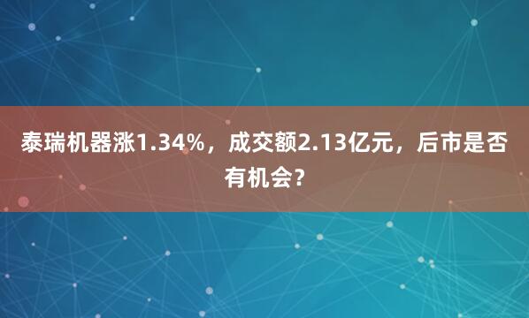 泰瑞机器涨1.34%，成交额2.13亿元，后市是否有机会？